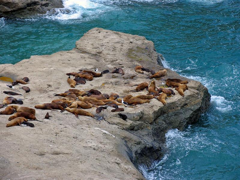 Pen&iacute;nsula Vald&eacute;s<BR>Chubut
